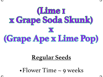 Proposer ($): (Lime 1 x Grape Soda Skunk) x (Grape Ape x Lime Pop)