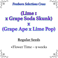 Venta: (Lime 1 x Grape Soda Skunk) x (Grape Ape x Lime Pop)