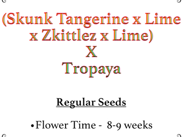 Proposer ($): (Skunk Tangerine x Lime x Zkittlez x Lime) x Tropaya