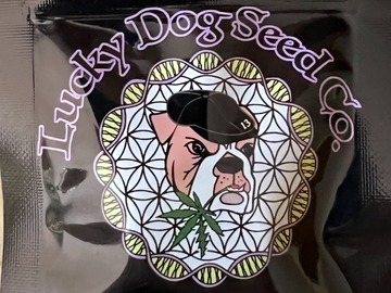 Providing ($): Lucky Dog Seed Co - Chem Fuego