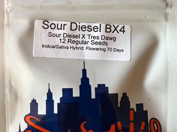 Providing ($): Top Dawg Seeds - Sour Diesel Bx4