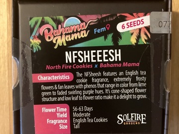 Providing ($): NFSHEEESH from Solfire Gardens