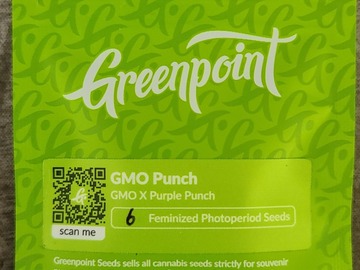 Providing ($): Greenpoint - GMO Punch (GMO x Purple Punch)
