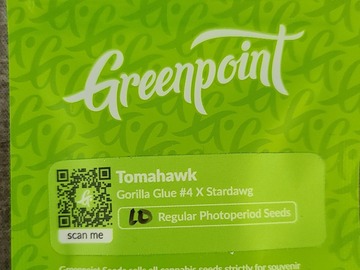 Providing ($): Greenpoint - Tomahawk (Gorilla Glue #4 x Stardawg)