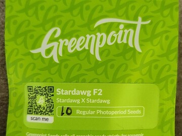 Providing ($): Greenpoint - Stardawg F2 (Stardawg x Stardawg)