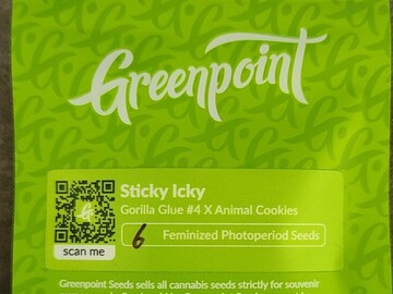 Providing ($): Greenpoint - Sticky Icky (Gorilla Glue #4 x Animal Cookies)