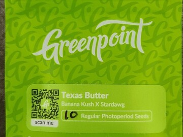 Providing ($): Greenpoint - Texas Butter (Banana Kush x Stardawg)