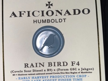 Providing ($): Rain bird f4