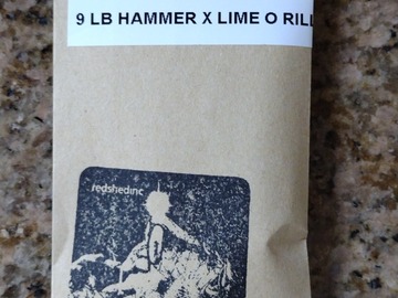 Venta: 9 lb hammer x lime-o-rilla x lime1 bx