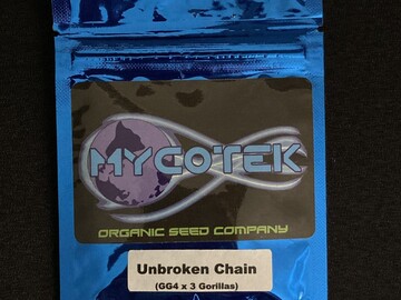 Providing ($): Mycotek Seeds - Unbroken Chain (GG4 Bx3)