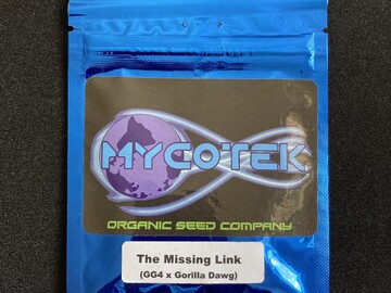 Providing ($): Mycotek Seeds - The Missing Link (GG4 Bx1)