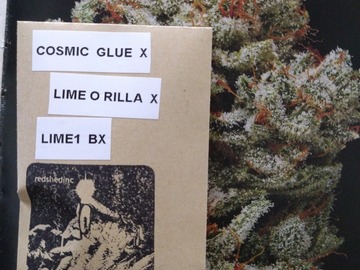 Venta: Cosmic glue x lime-o-rilla x lime1 bx