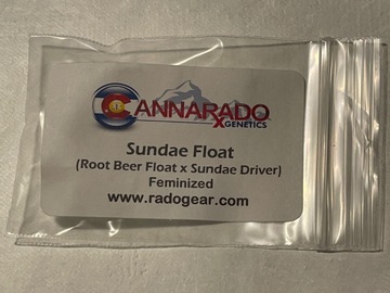 Venta: Sundae Float by Cannarado