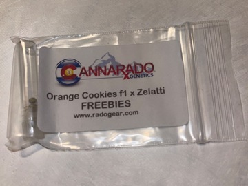 Selling: Orange Cookies f1 x Zelatti by cannarado
