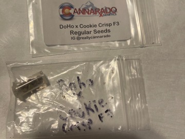 Selling: DoHo x Cookie Crisp f3 by Cannarado