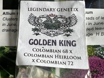 Providing ($): LEGENDARY GENETIX   GOLDEN KING 5 PACK