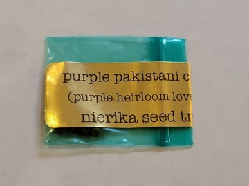 Providing ($): Bodhi - Purple Pakistani Chitral (Nierika Seed Trust)