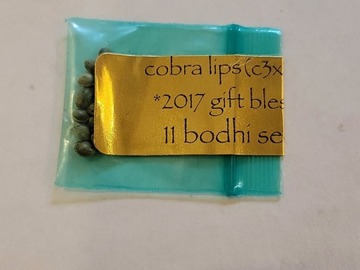 Providing ($): Bodhi - Cobra Lips (Chem 3 x Appalachia)