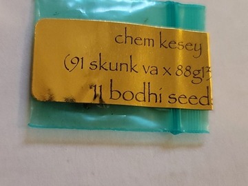 Providing ($): Bodhi - Chem Kesey (91 Skunk VA x 88g13hp)