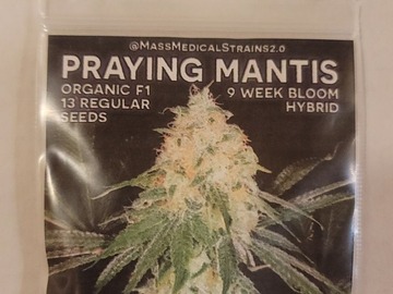 Providing ($): MMS Praying Mantis - Mr. E x Bodhi's Prayer Tower Sativa