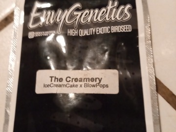 Providing ($): The Creamery- Envy Genetics