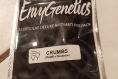 Providing ($): Crumbs- Envy Genetics