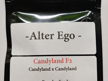 Providing ($): Candyland F2