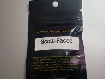 Providing ($): Archive Seed Bank - scotti-faced (biscotti x face off og)