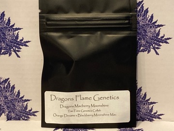Providing ($): Dragons Macberry Moonshine by Dragons Flame Genetics