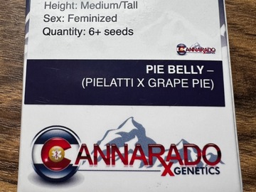Providing ($): Cannarado Pie Belly