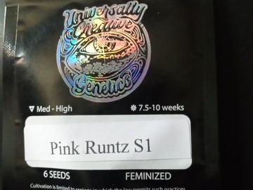 Providing ($): Pink Runtz s1 - 6 fem seeds