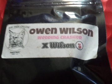 Providing ($): Masonic- Owen Wilson