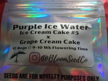 Providing ($): Purple ice water - Bloom Seed Co