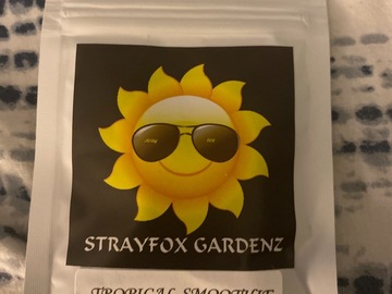 Providing ($): Strayfox  tropical smoothie