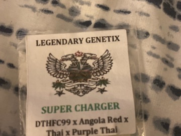 Providing ($): Snow high Super Charger DTHFC99 X Angola Red X Thai X Purple Thai