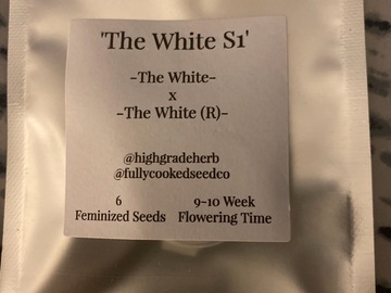 Proporcionando ($): High Grade Herb (Fully cooked seed co) The White S1