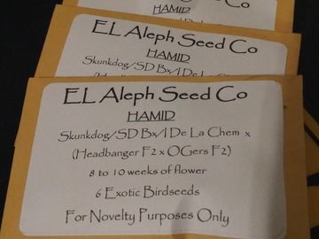 Proporcionando ($): El Aleph- HAMID