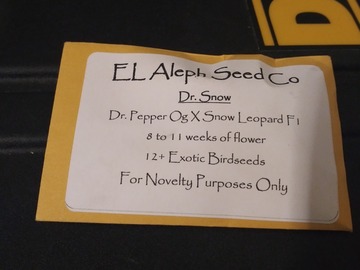 Proporcionando ($): El Aleph- Dr. Snow