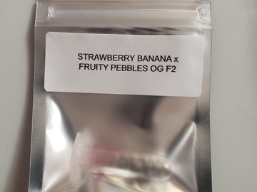 Providing ($): Strawberry banana x fruity pebbles OG F2
