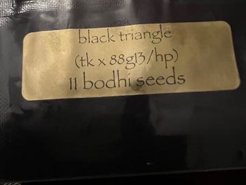 Providing ($): Bodhi’s Black Triangle