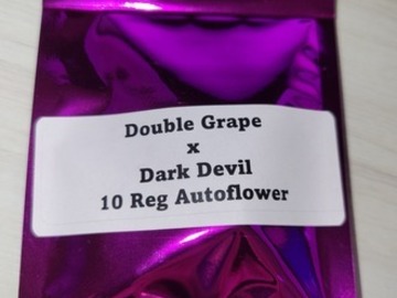 Providing ($): Double Grape x Dark Devil - 10 Auto Regs