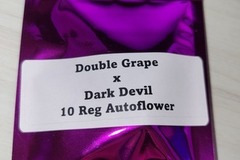 Providing ($): Double Grape x Dark Devil - 10 Auto Regs
