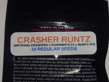 Providing ($): Crasher Runtz | NugLife Farms | 10 Regular Seeds | FREE Shipping