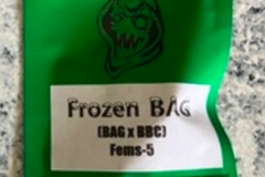 Providing ($): Robinhood Seeds- Frozen B.A.G