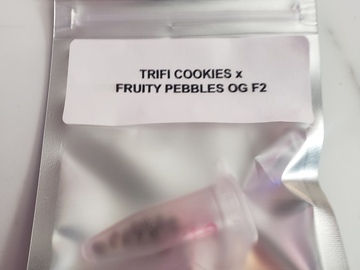 Providing ($): Trifi Cookies x fruity pebbles OG F2