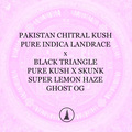 Providing ($): Pakistan Chitral Kush - 4 Pack Bundle