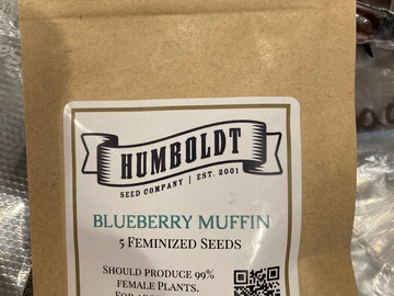 Selling: Blueberry Muffin 5 feminized (Humboldt Seed Co)