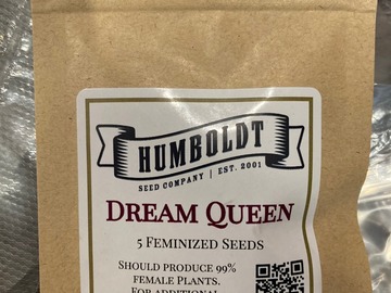 Providing ($): Dream Queen 5 feminized from Humboldt Seed Co