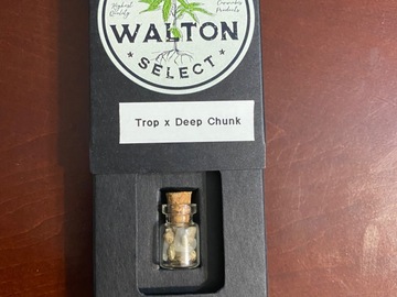 Providing ($): Tropicanna Cookies x Deep Chunk by Walton Select