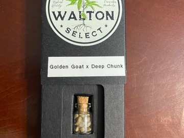 Providing ($): Golden Goat x Deep Chunk by Walton Select